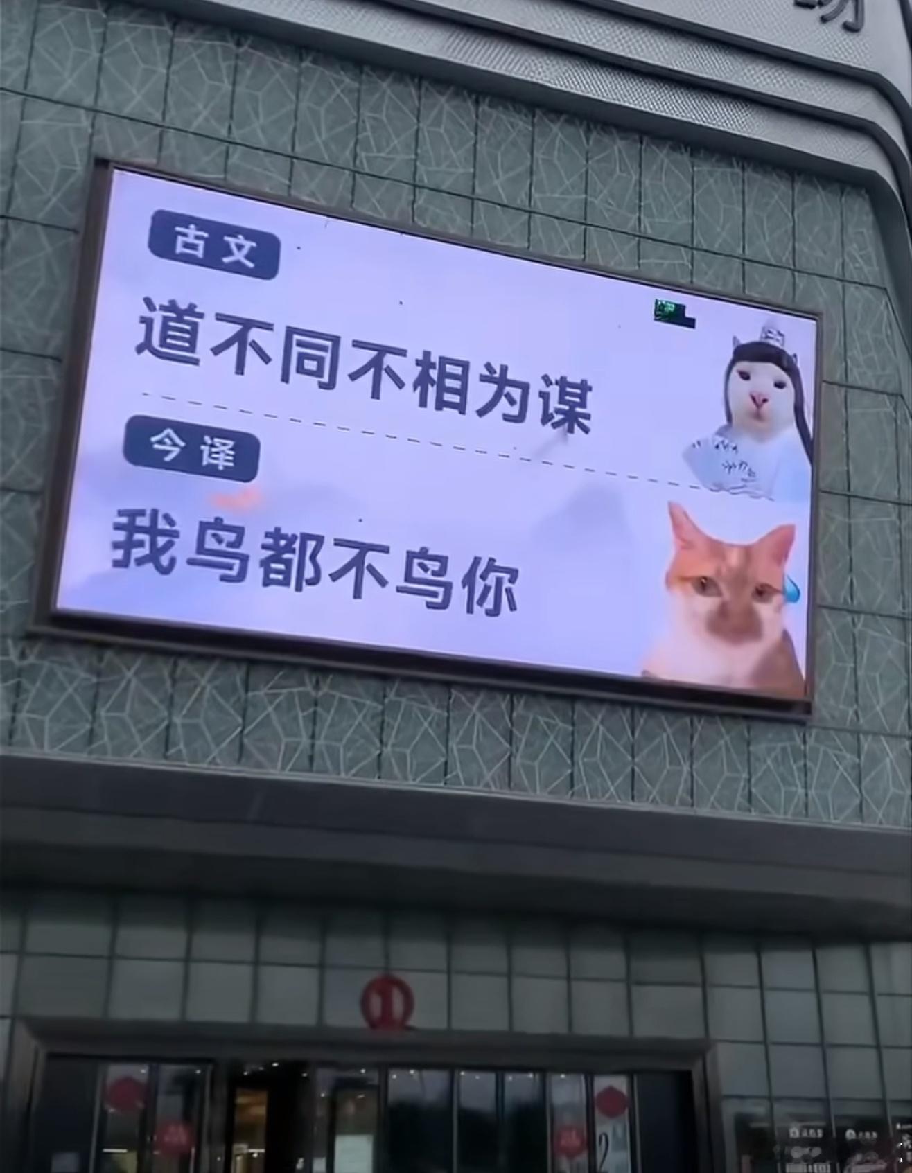 这解释！实在是精辟，不接受反驳！ 