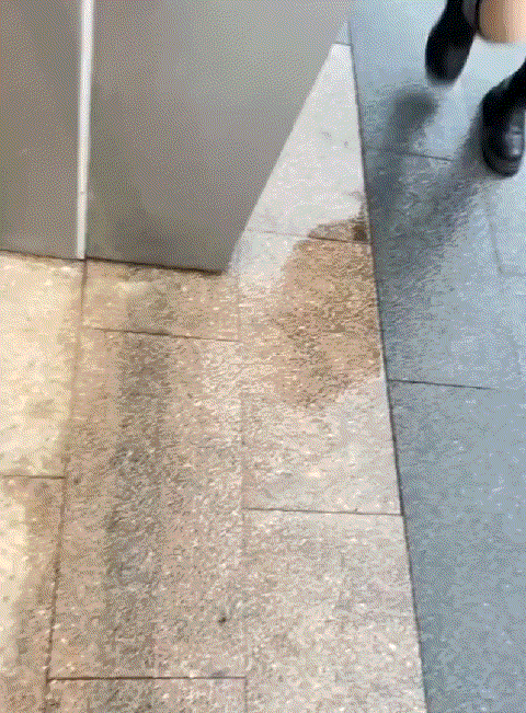 网友:分手，分手，必须踏马的分手！