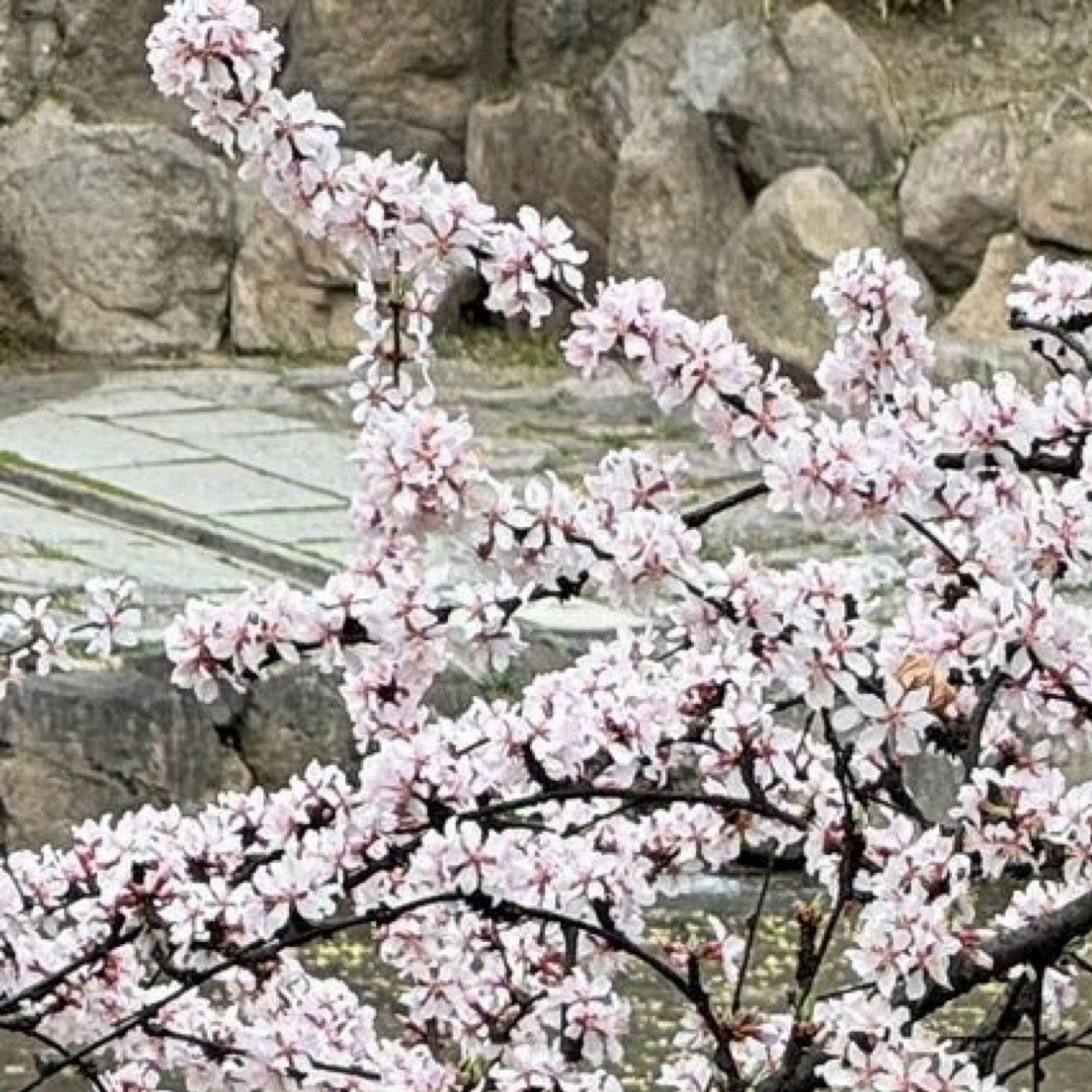 所有事情的发生，皆有利于你，在锻炼你任何一条路都不简单，任何一条路都有赢家，永远