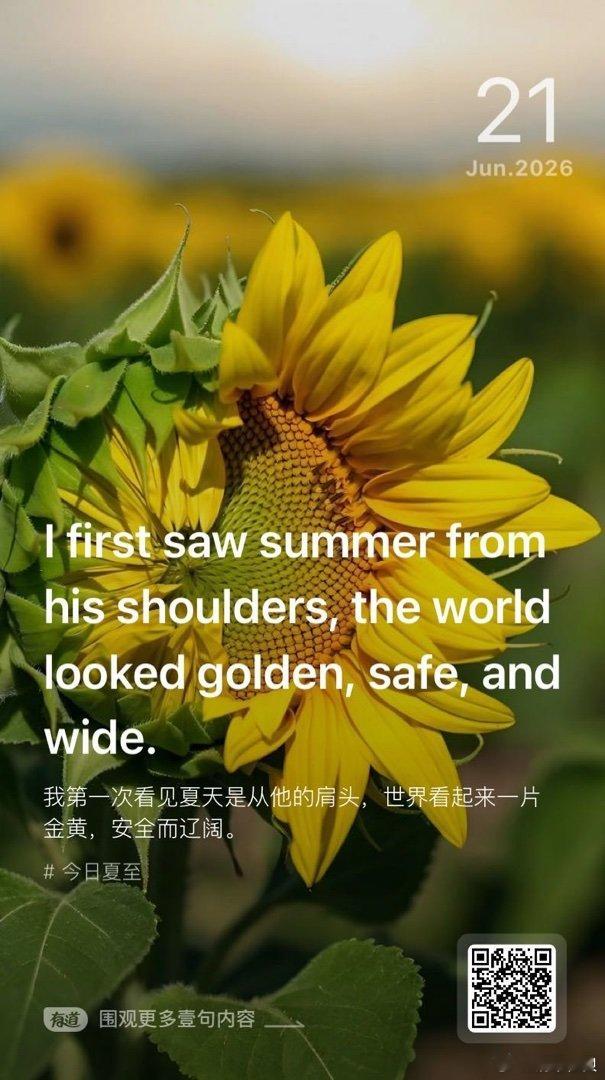 他的爱比最长的白昼更长
