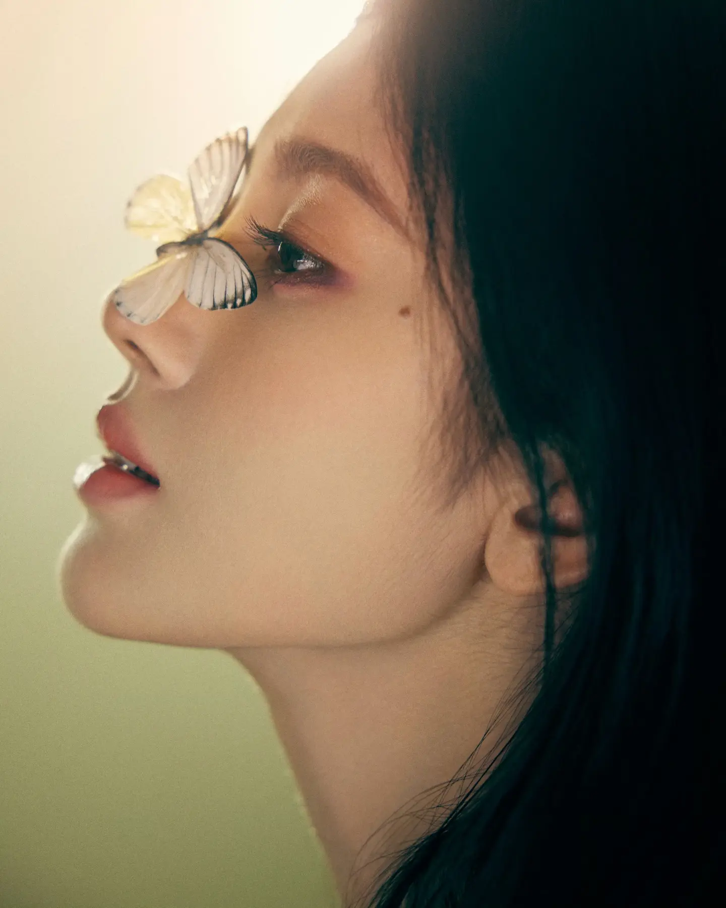 🦋。