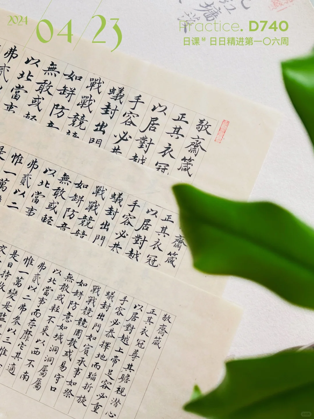 沈度敬斋箴𝐖𝟏｜Plus +原大+ mini