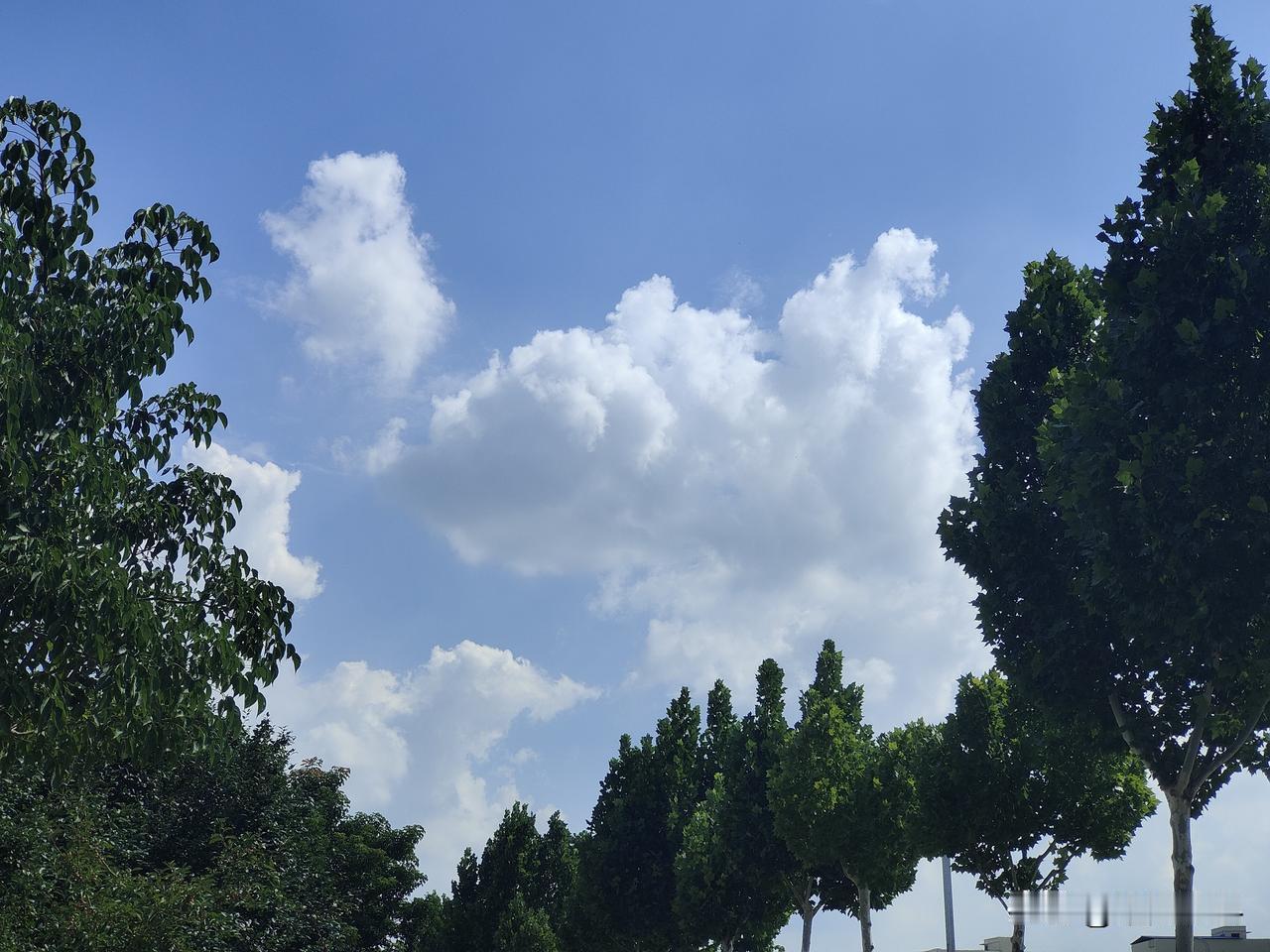 秋日生活打卡季秋季的天空，白云朵朵，有的象山，有的象马，有的象公鸡，各种各样让人