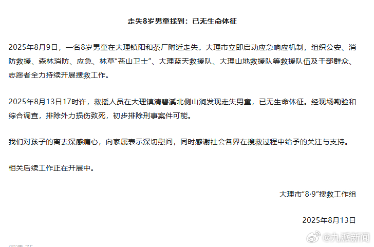 #苍山走失男童遇难初步排除刑案#【#苍山走失男童遇难排除外力损伤致死#】8月13