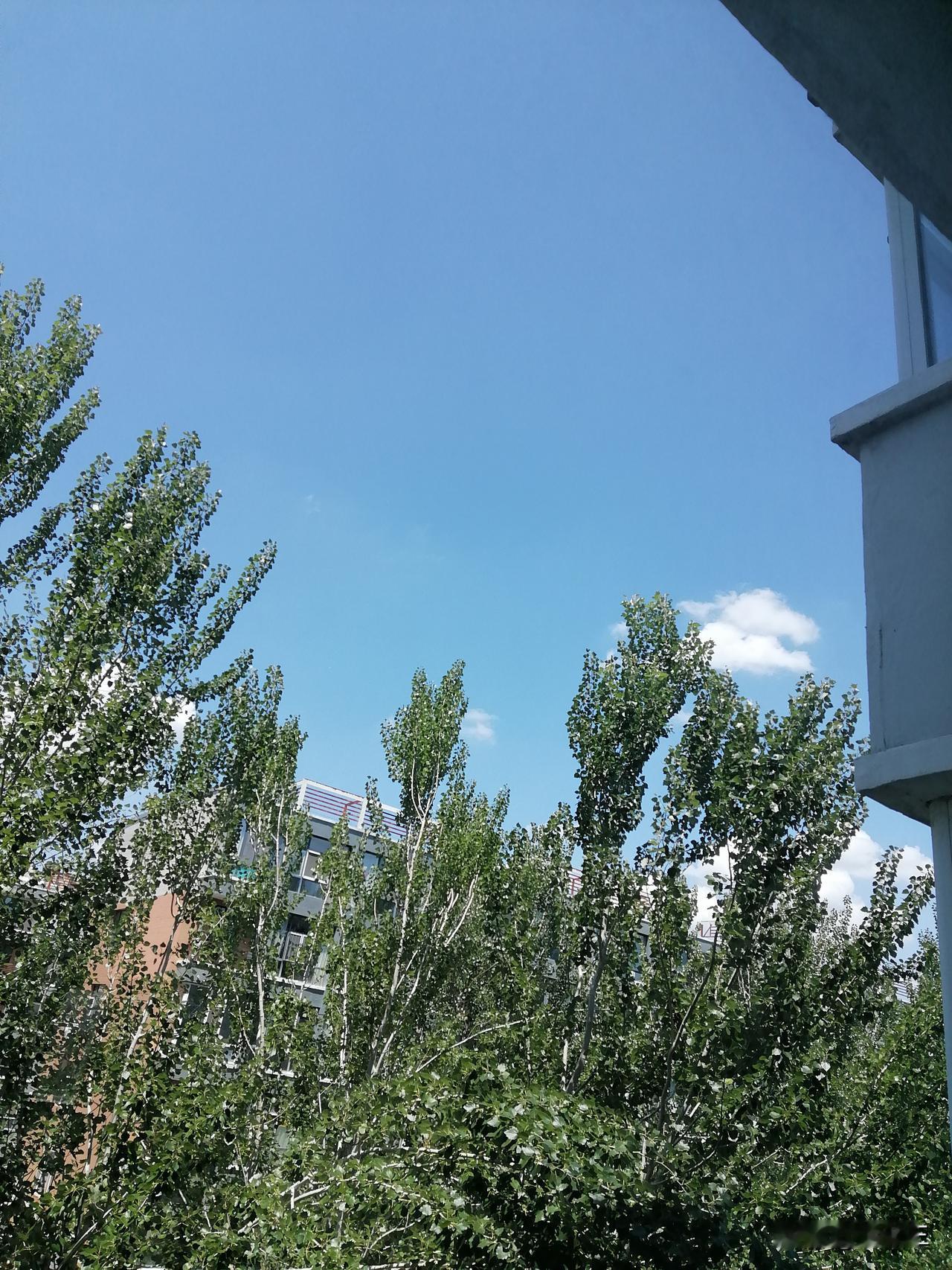月初的时候，和儿子说好了，这个月的第二个周四，我会把儿子的社保钱转给儿子。

去