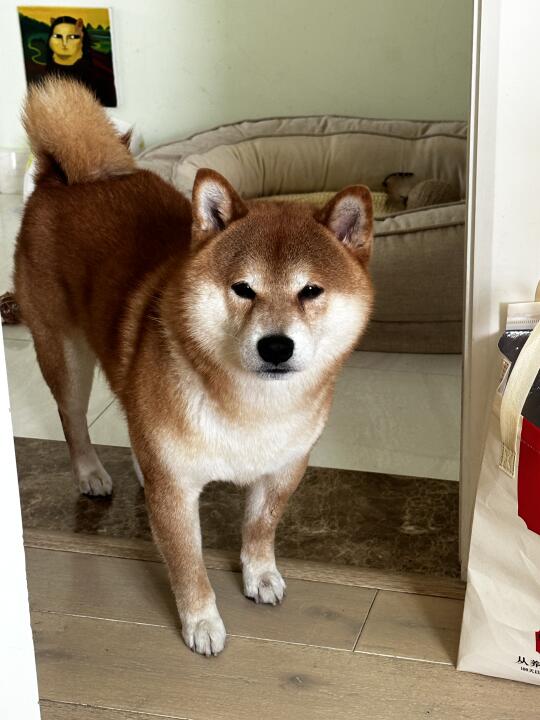 你叫我啊