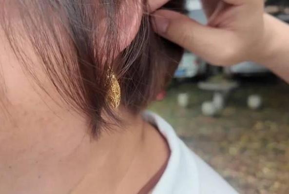 网暴救灾村支书戴“金耳环”涉事人员被处罚
 
新华社北京6月2日电（记者李明辉）
