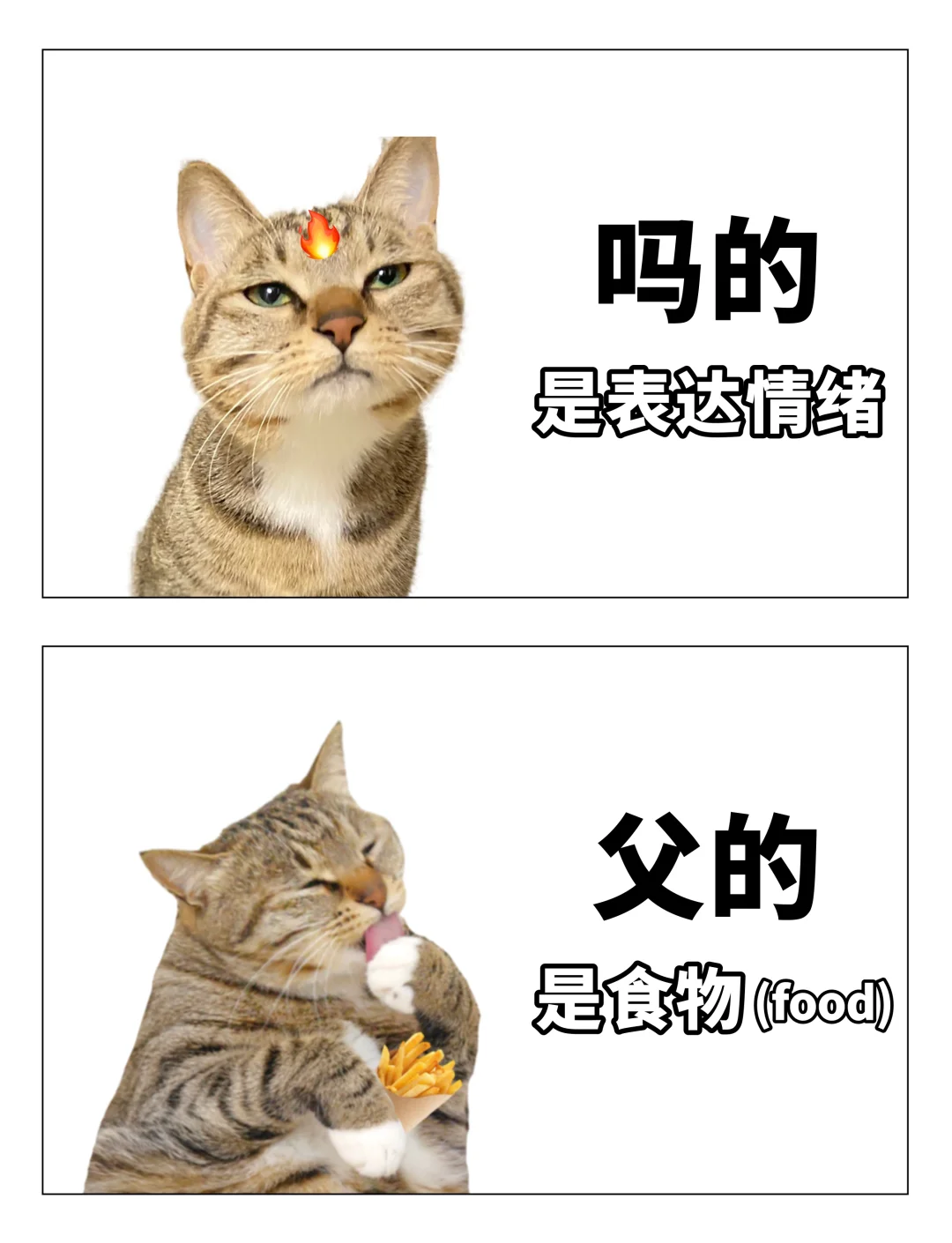 全世界都在说中国话