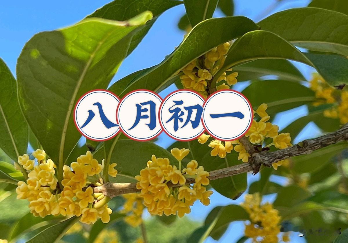 9月11日八月初一，“最怕八月初一水”，有什么讲究？
 
9月11日，便是农历八