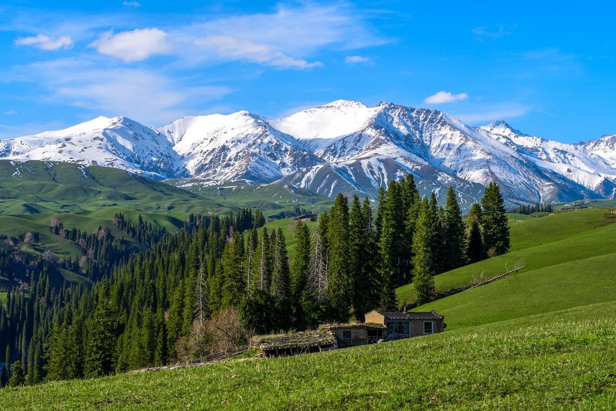 新疆财政表现优异！

2026年1-2月，新疆地方财政收入497.3亿元，同比增