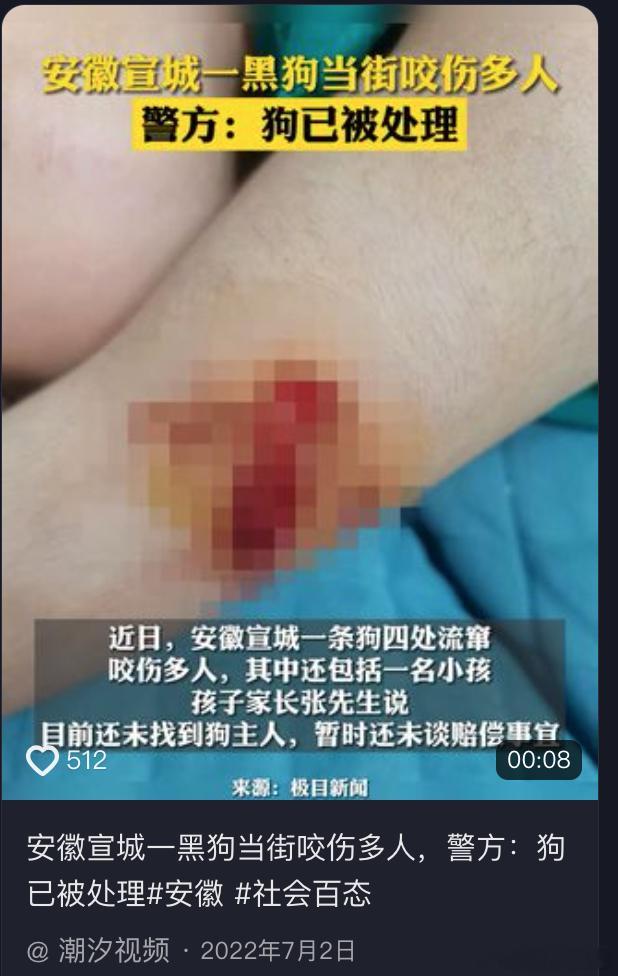 一只流浪狗让宣城收获泼天流量 这是一座有爱心的城市，良心都喂了狗狗，良心用完了，