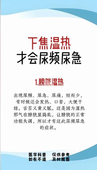 尿频尿急反复？多与下焦湿热有关