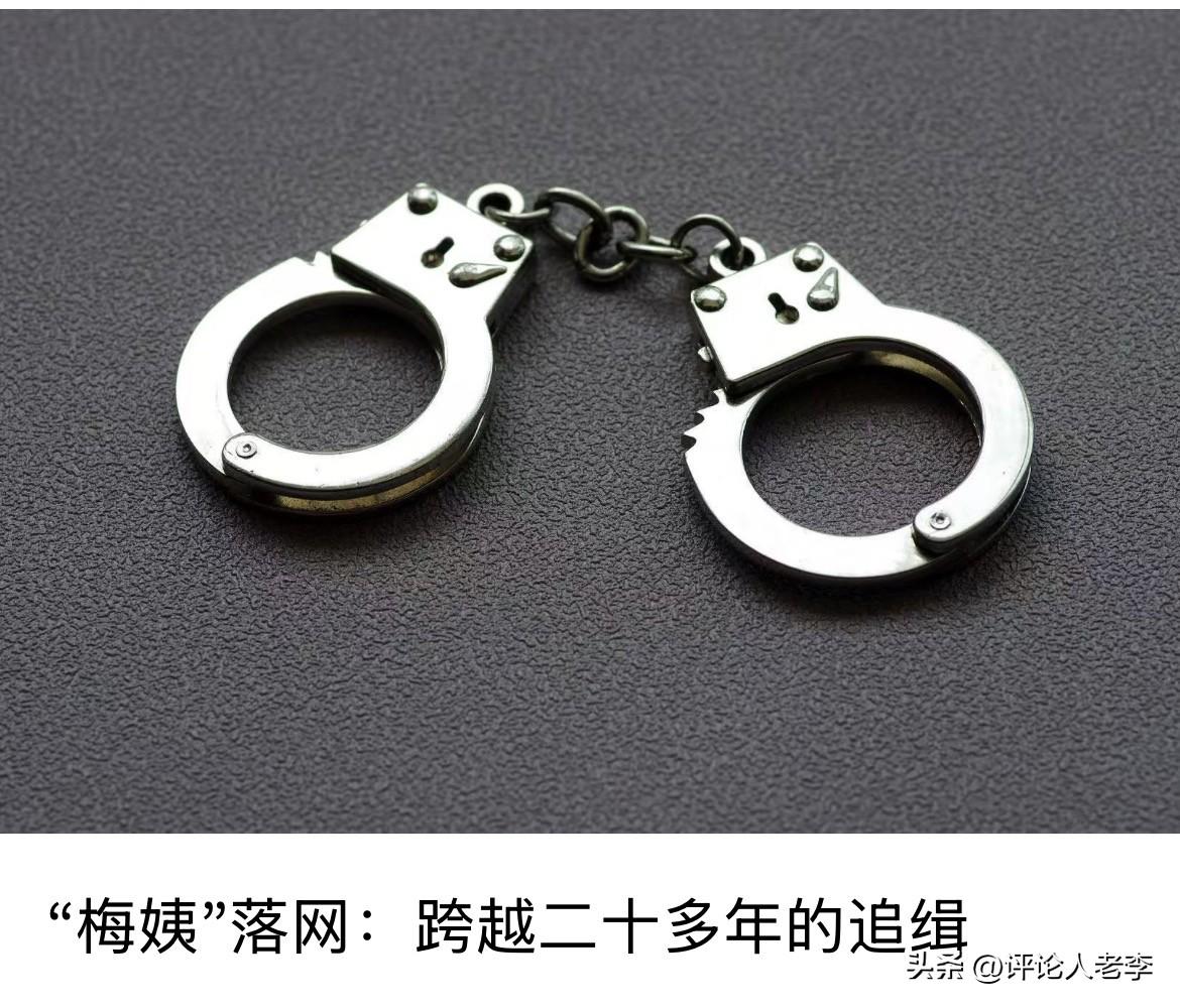 梅姨终于受到了应有的法律制裁。打拐的另一关键层面是那些买方，这需要引起社会的高度