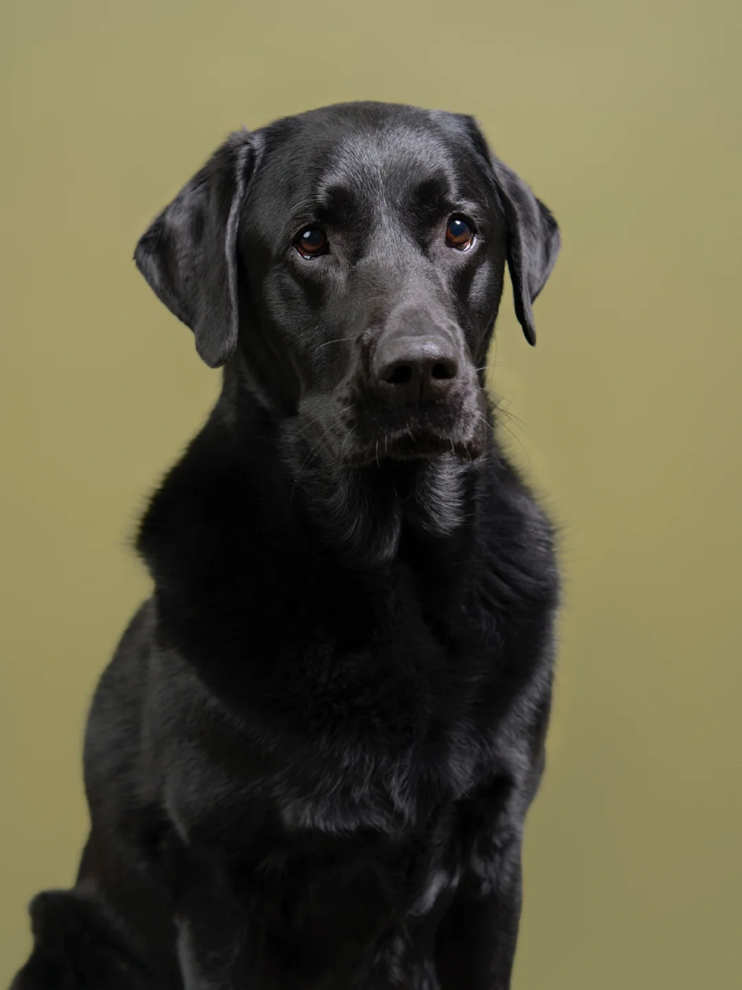 委屈脸脸 因为起码三秒钟没吃过零食了