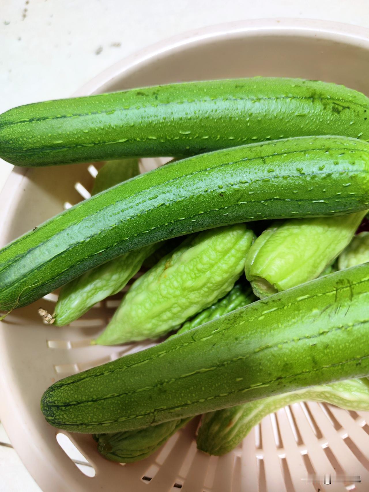 今天采摘的瓜果，黄瓜🥒，丝瓜，苦瓜， 茄子🍆辣椒🌶️，豇豆，生菜，风仙草(