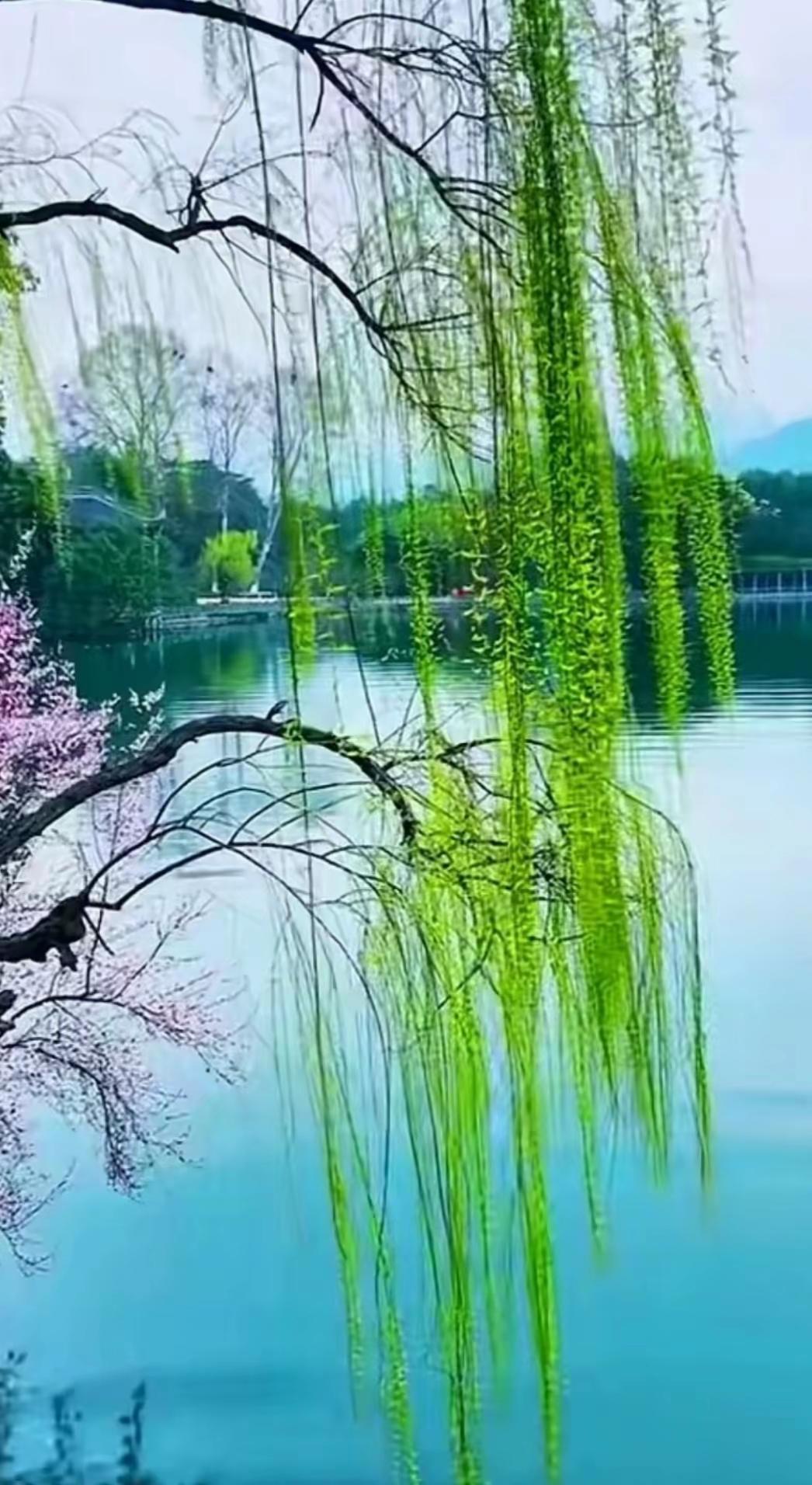 拥有好心态，就拥有了好人生
 
不必为一时的失误耿耿于怀，说错的话、做错的事，都