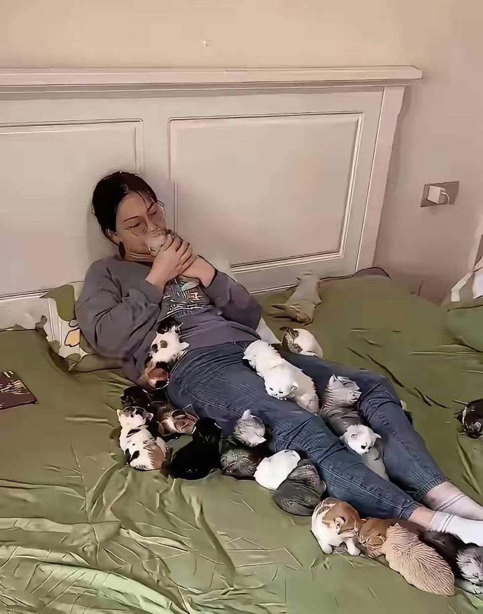 你会娶一个喜欢养满屋子猫的博士生做老婆吗？ 