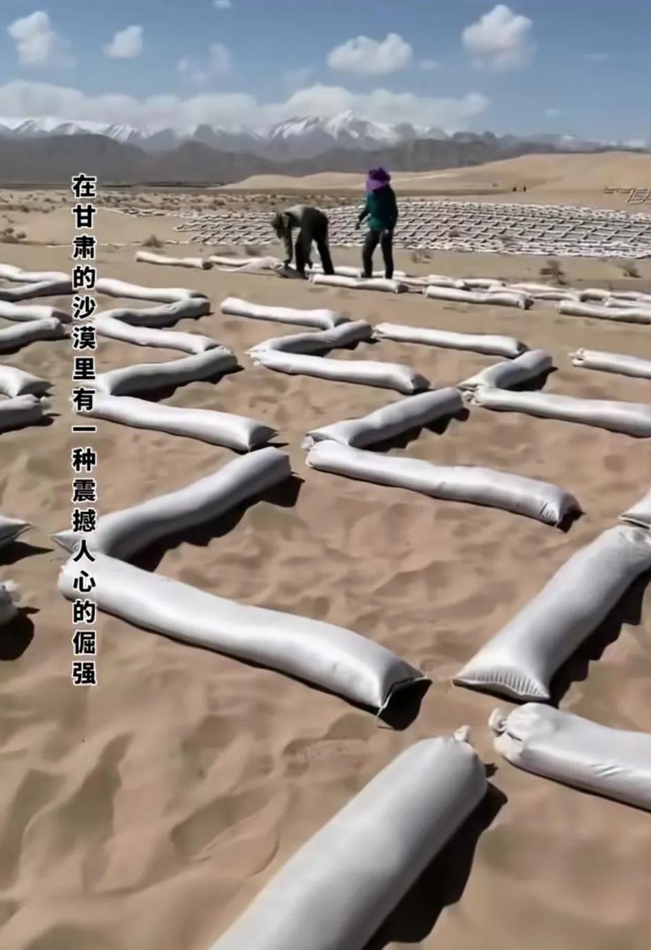 国家现在在沙漠地区大力开展治沙防沙活动，已经取得巨大成效！我建议应该在沙漠里建一
