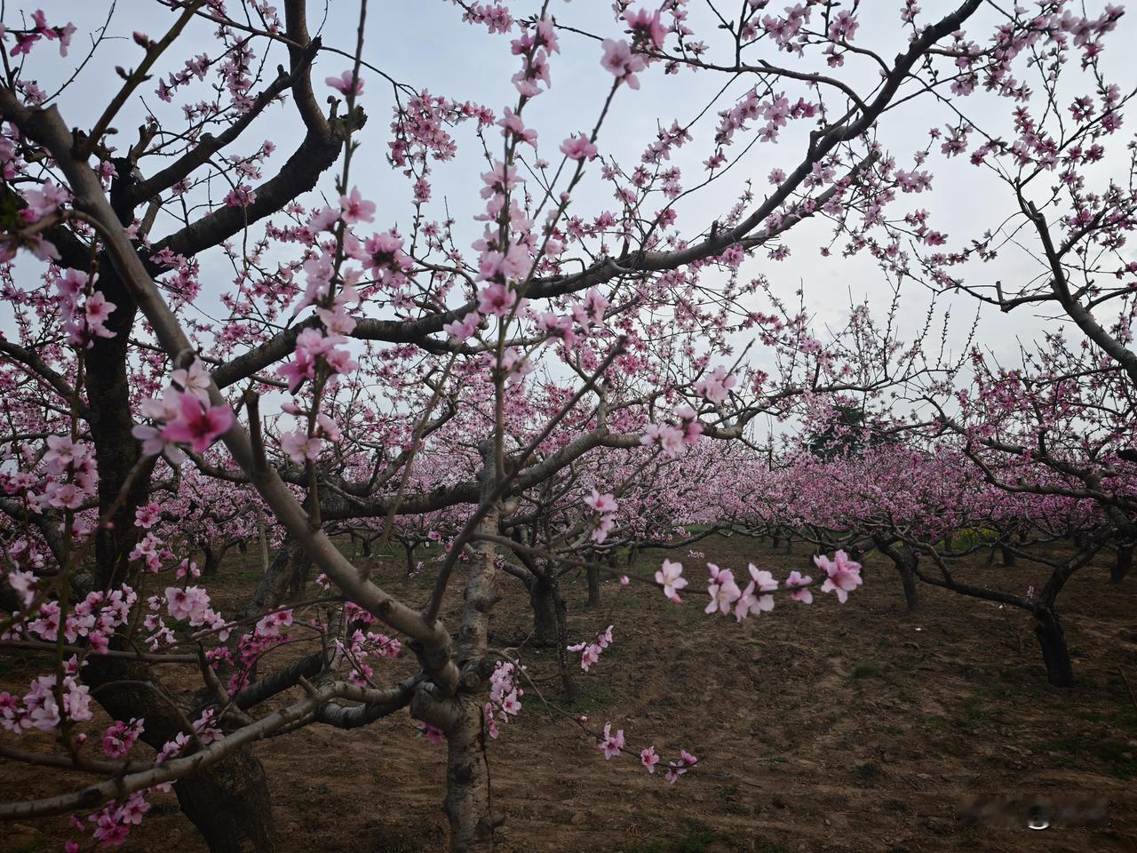 觉得自己饿半天，餐还迟迟不到，真想直接给个差评解气。
 
但后来看多了就明白了：