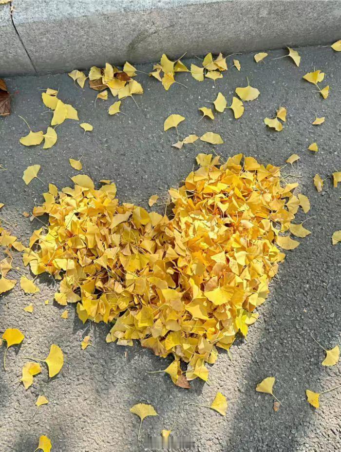 Happy Thanksgiving！🦃又一年感恩节，感恩每一份并肩的信任和支