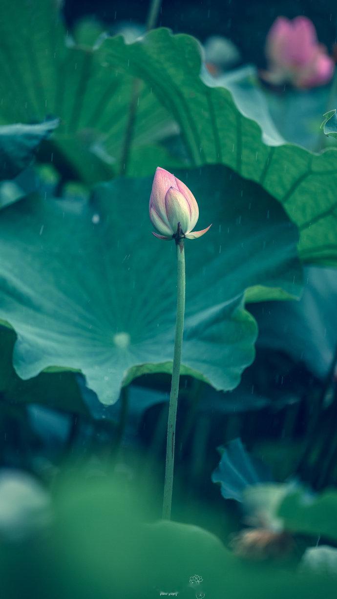 一些让人毕生难忘的绝美诗句1.海棠未雨，梨花先雪，一半春休。——王雱2.作梦中梦