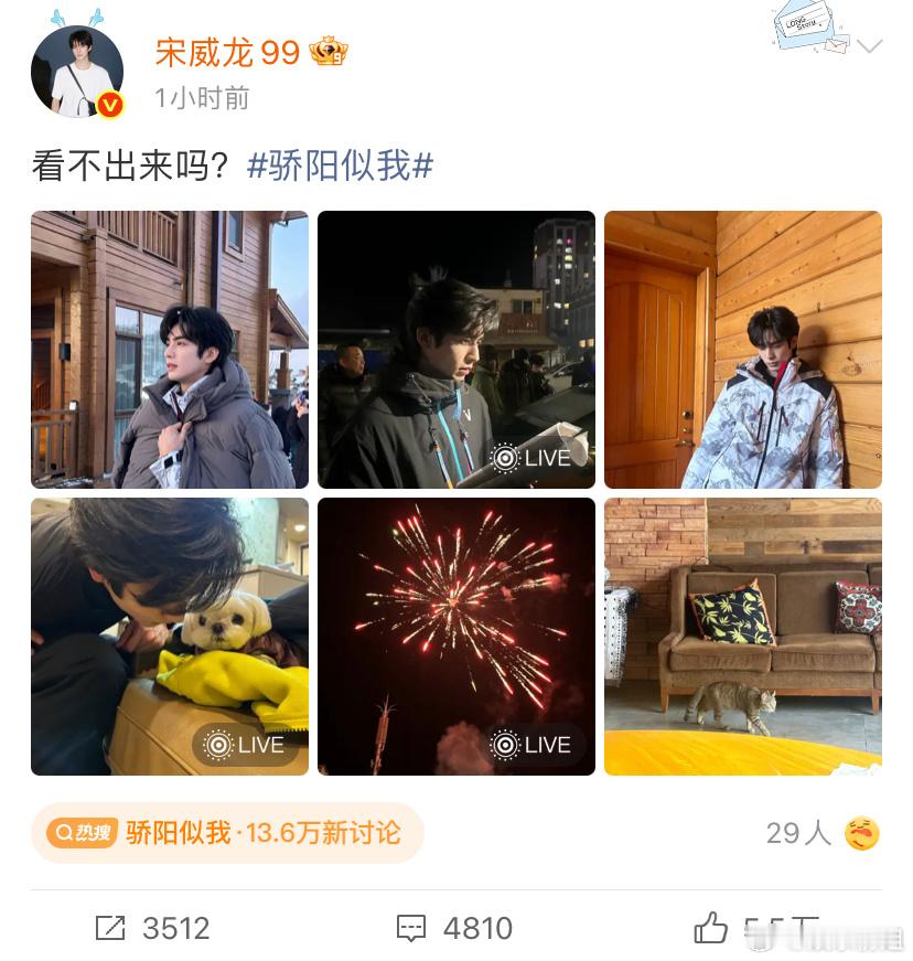 宋威龙看不出来吗《骄阳似我》宋威龙问看不出来吗！看出来了，林教练从江南追到了长白