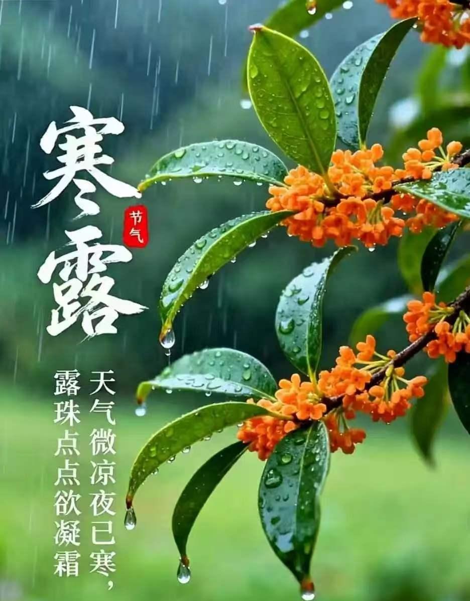提前通知大家，还有四天，
全国各地即将进入寒露节气。
 
2026年寒露准确交节
