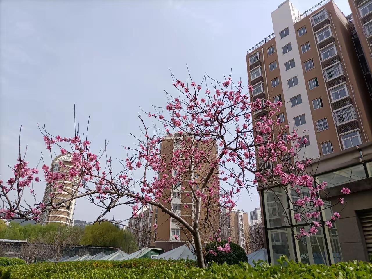 生活分三种：第一种是，精致主义者，把日子过成琴棋书画诗酒花；第二种是，安于现状主