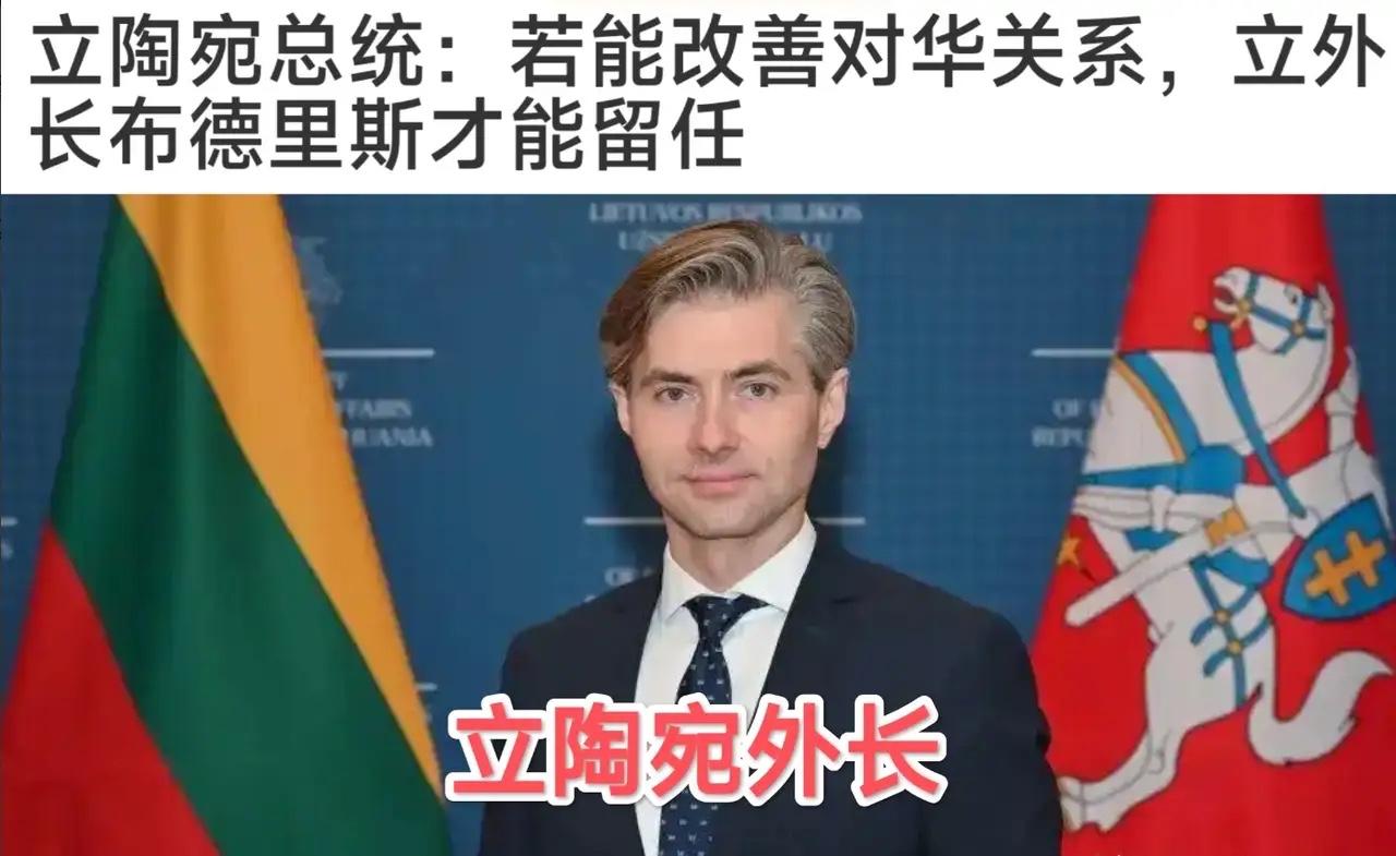 立陶宛总统瑙塞达最近把话挑明了：外长布德里斯想保住位子，唯一的活路就是把对华关系