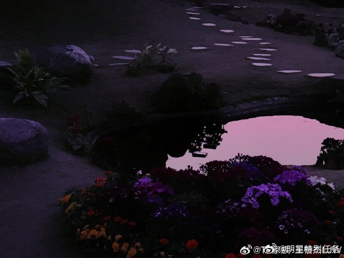 时代峰峻的隐藏摄影师被我逮到了！刷到王橹杰早期微博发布的摄影作品，真的好会拍照！