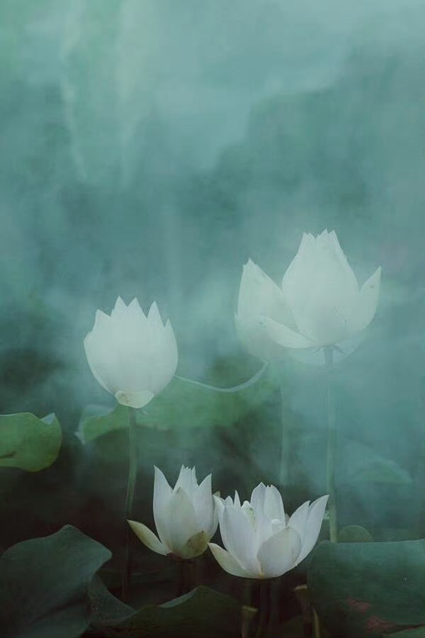 真正拉开人与人之间距离的，不是努力，不是能力，而是心力。心力，源于精神，它是一个