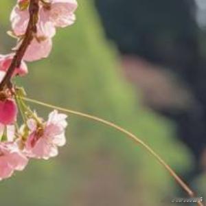 阳光信用[超话]阳光信用✨每日一善每日一善[超话]老师[举手][举手][举手]求