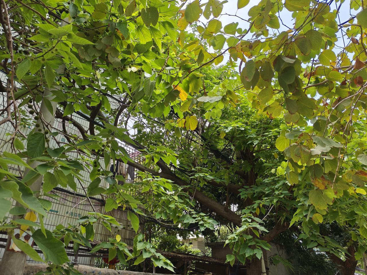 别去招惹被伤害后依旧面不改色的人。生活里最不能惹的，从来不是歇斯底里、又吵又闹的