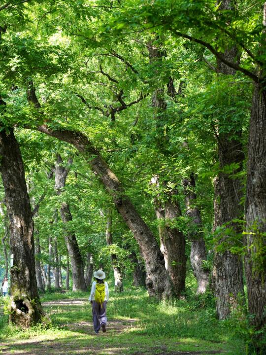 宁波爬山徒步｜绿野仙踪 亲子小环线
