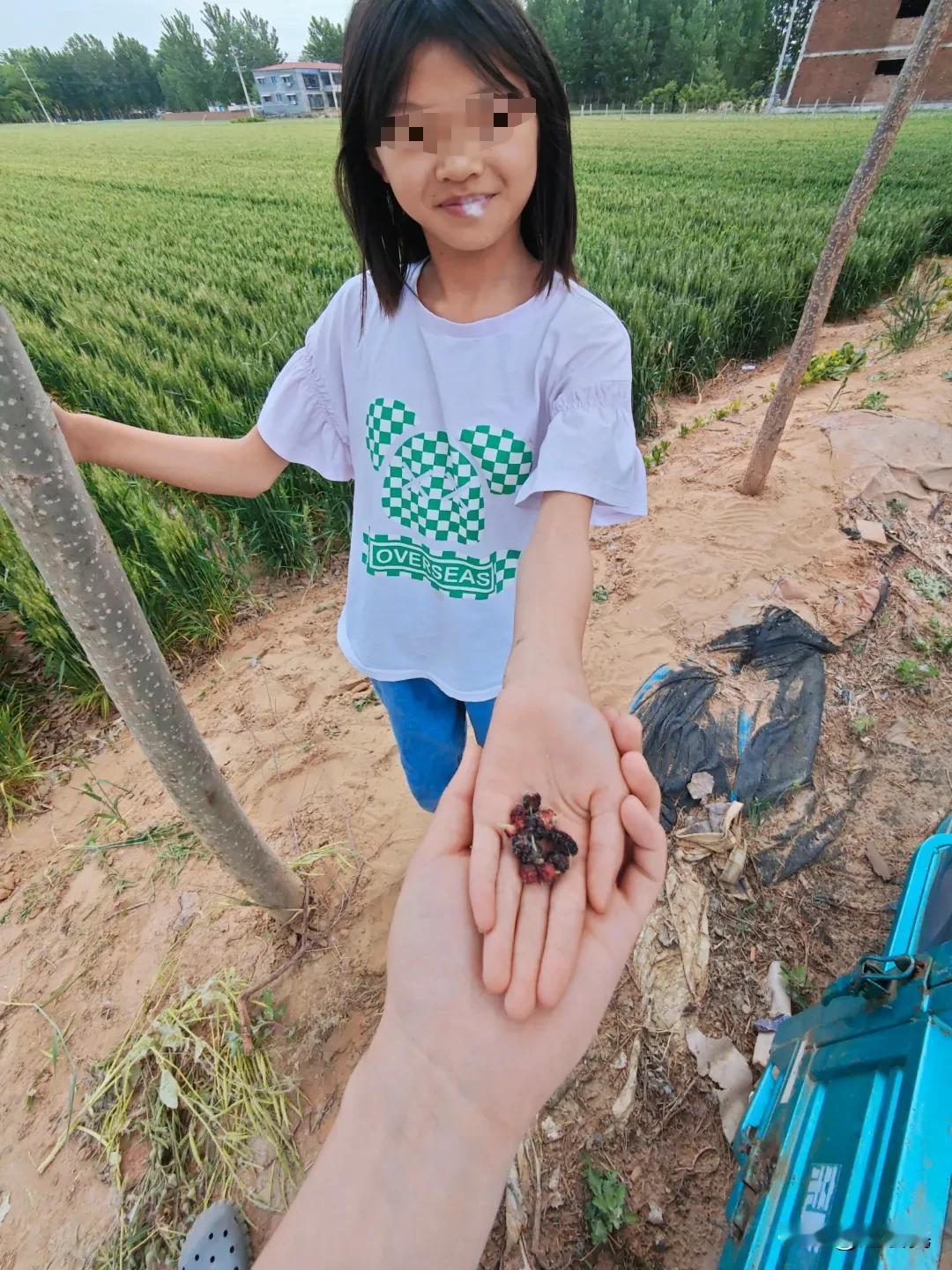 春姑娘给我带来了很多天然美食。
村里的孩子真会找吃的，在村里玩儿，孩子突然递给我