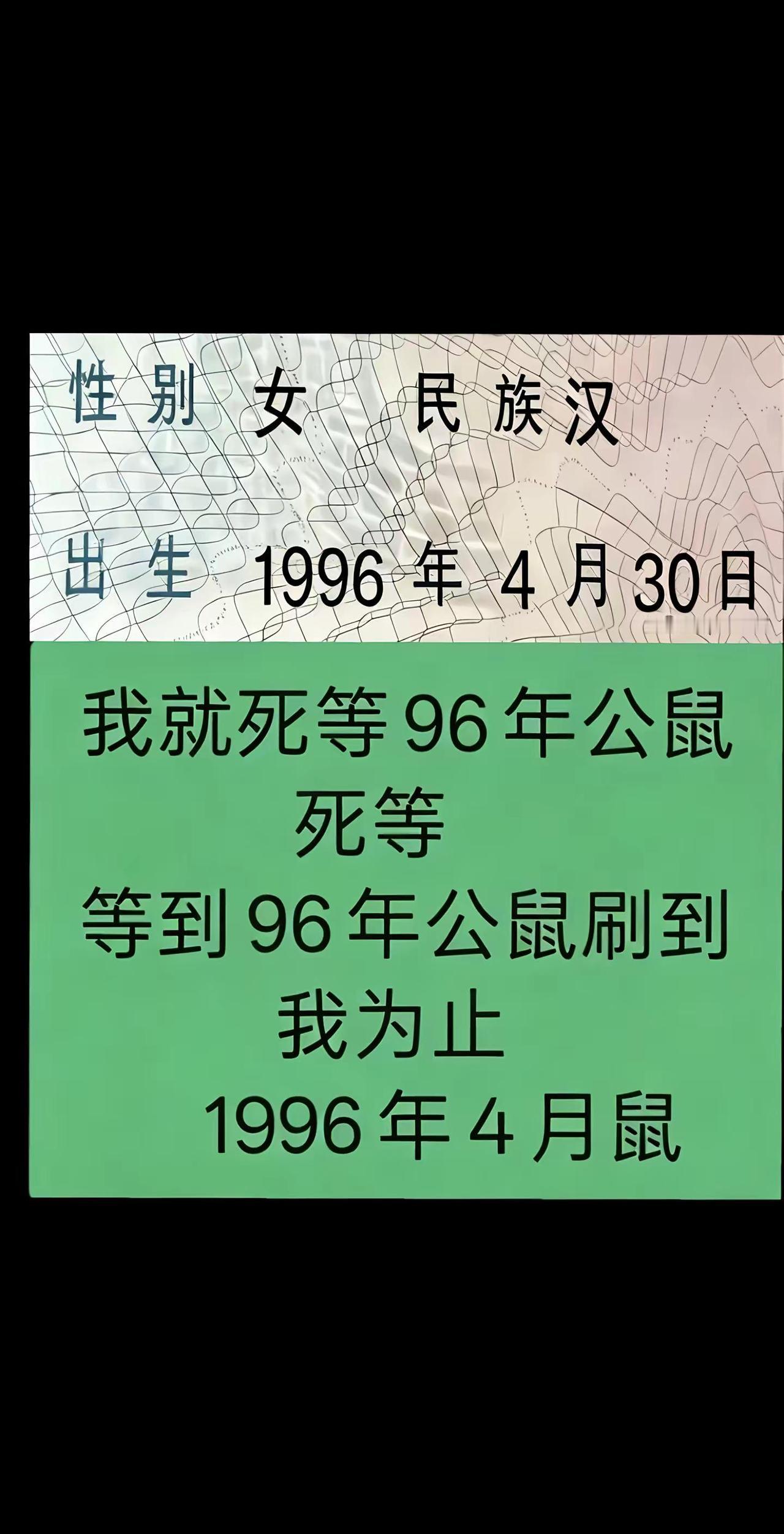 1996鼠