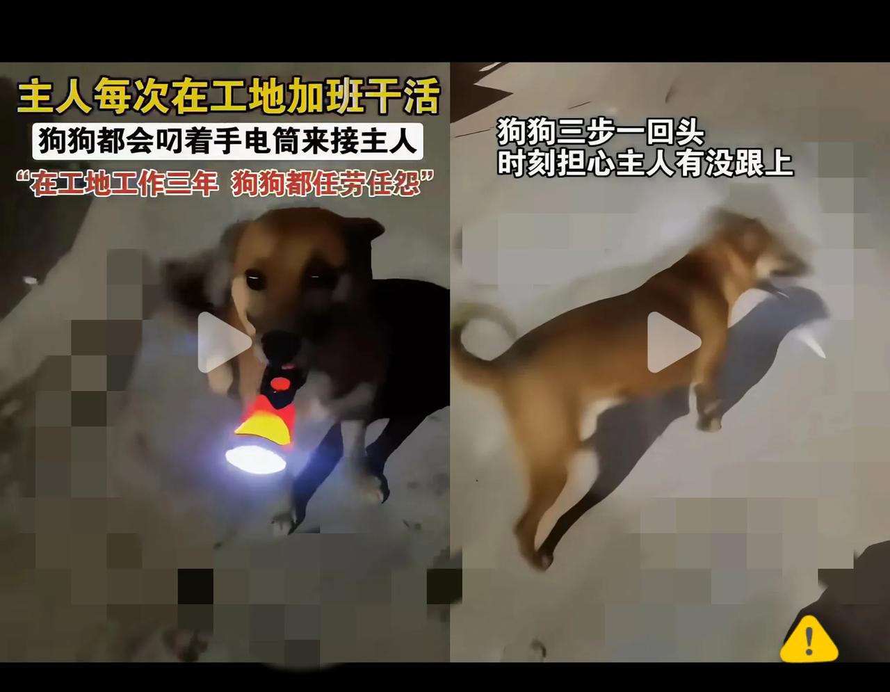 家人们谁懂啊！
        吉林一女子深夜下班，一打开家门，居然看到狗狗叼着