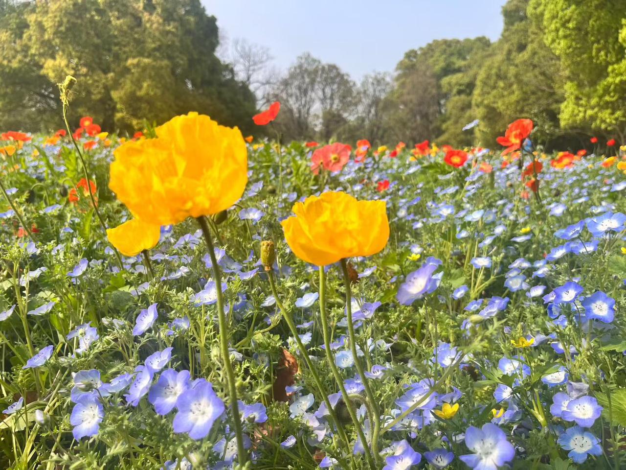 ☀️
美好的一天开始啦！

美好生活藏在日常的小确幸里，保持好心情，自然会遇见好