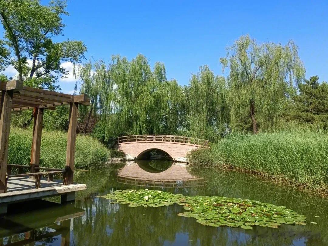 #秋之童话# 
开往秋天的列车已经出发了，
希望会有满满的收获和意想不到的惊喜！