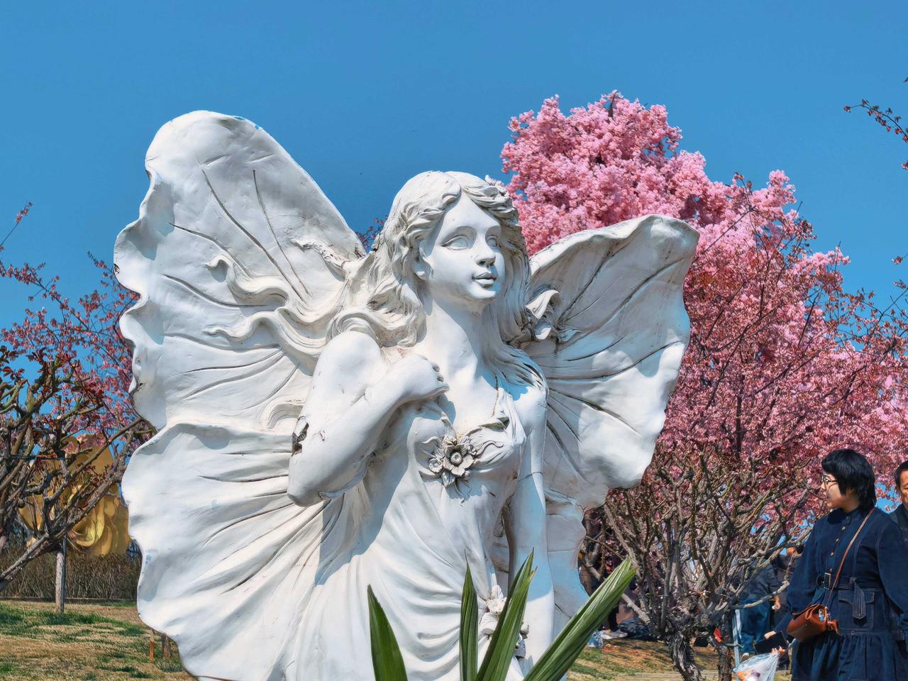 春日正好，孔雀在石上静立，看漫天花海与风共舞，连时光都变得温柔又浪漫。
    