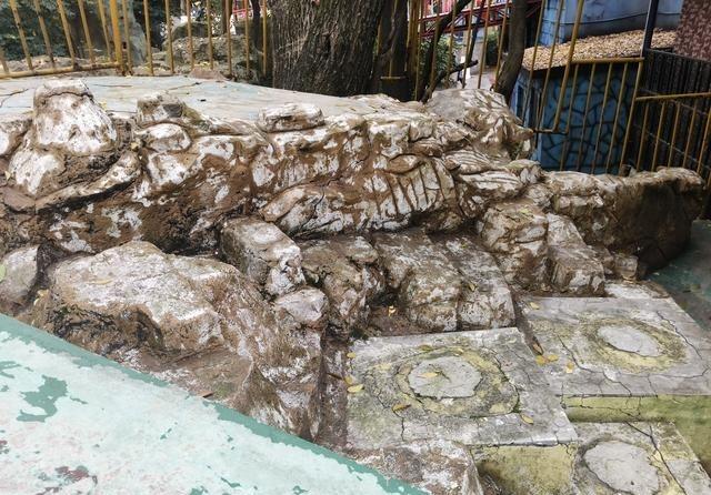 索尼曾说：中印开战，10天结束战争，拉达克，藏南将归中国 中国：我们就等印度先开