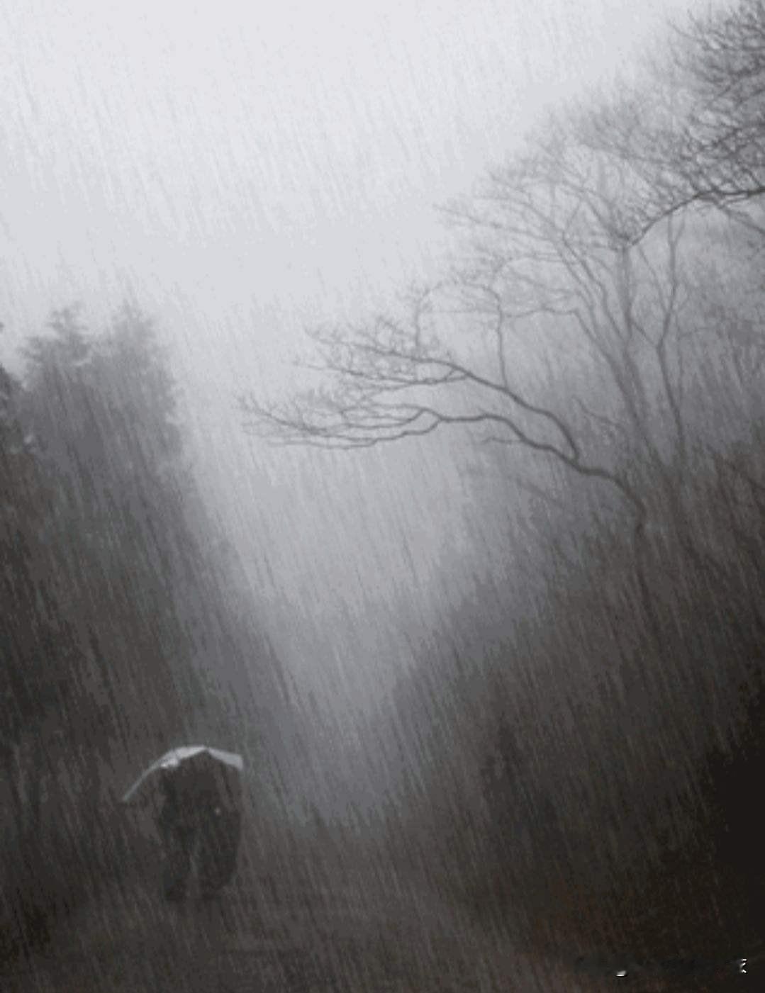 虽然年纪大了点，但仍然保持着自己的特殊爱好，只是不足以道与外人。
我喜欢下雨天（