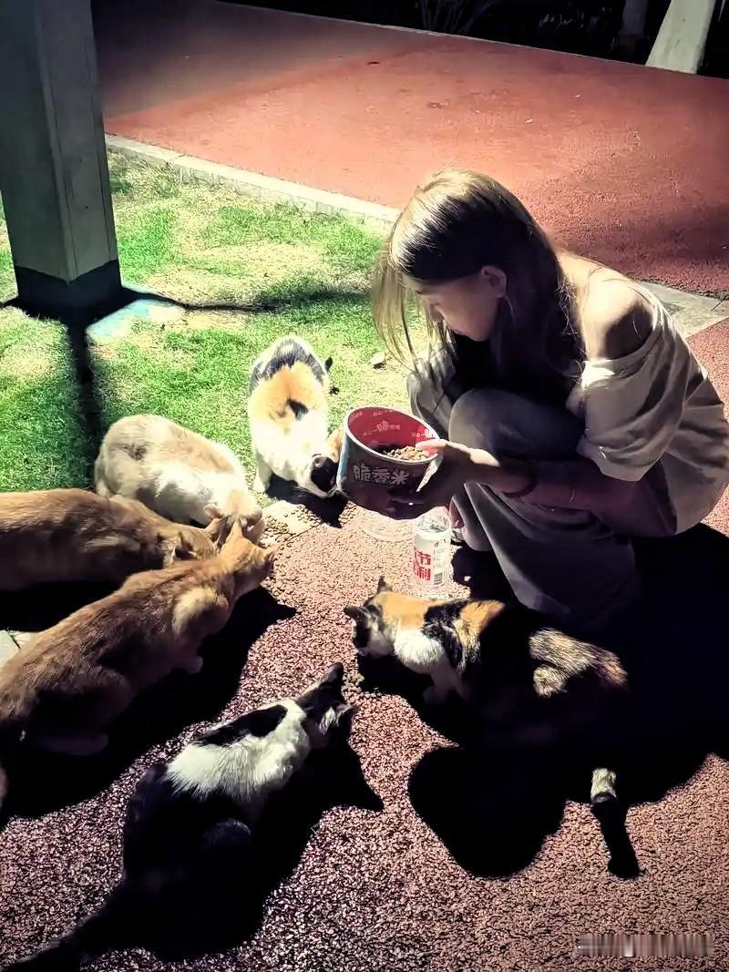 未署名的善意
《散文》


你其实比谁都清楚，你喂的小猫可能活不过这个冬天，你常