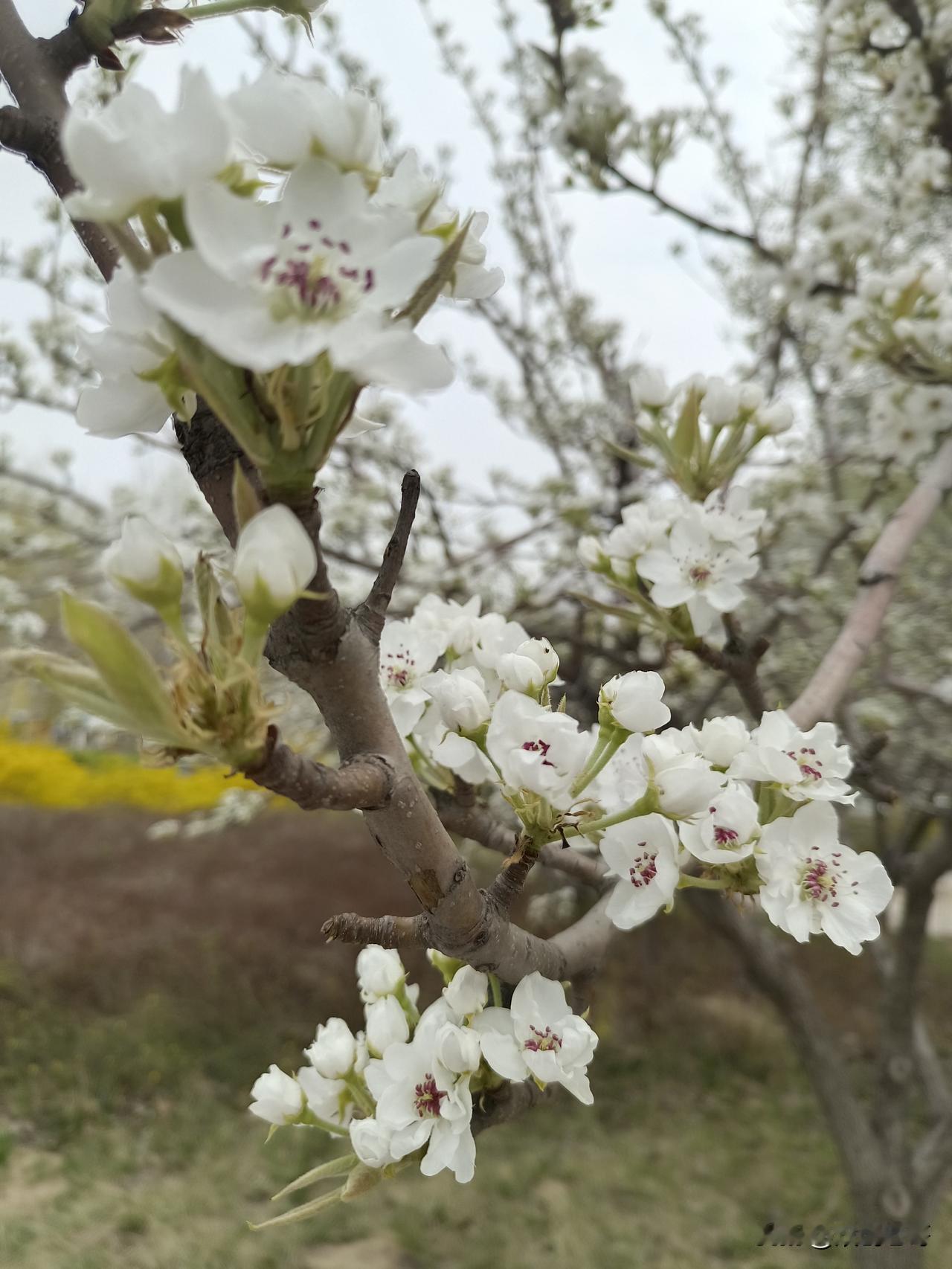 无聊鼓噪者声称，某些名人故居、陵墓或其他著名标志性纪念场所的游人数量差别很大，这