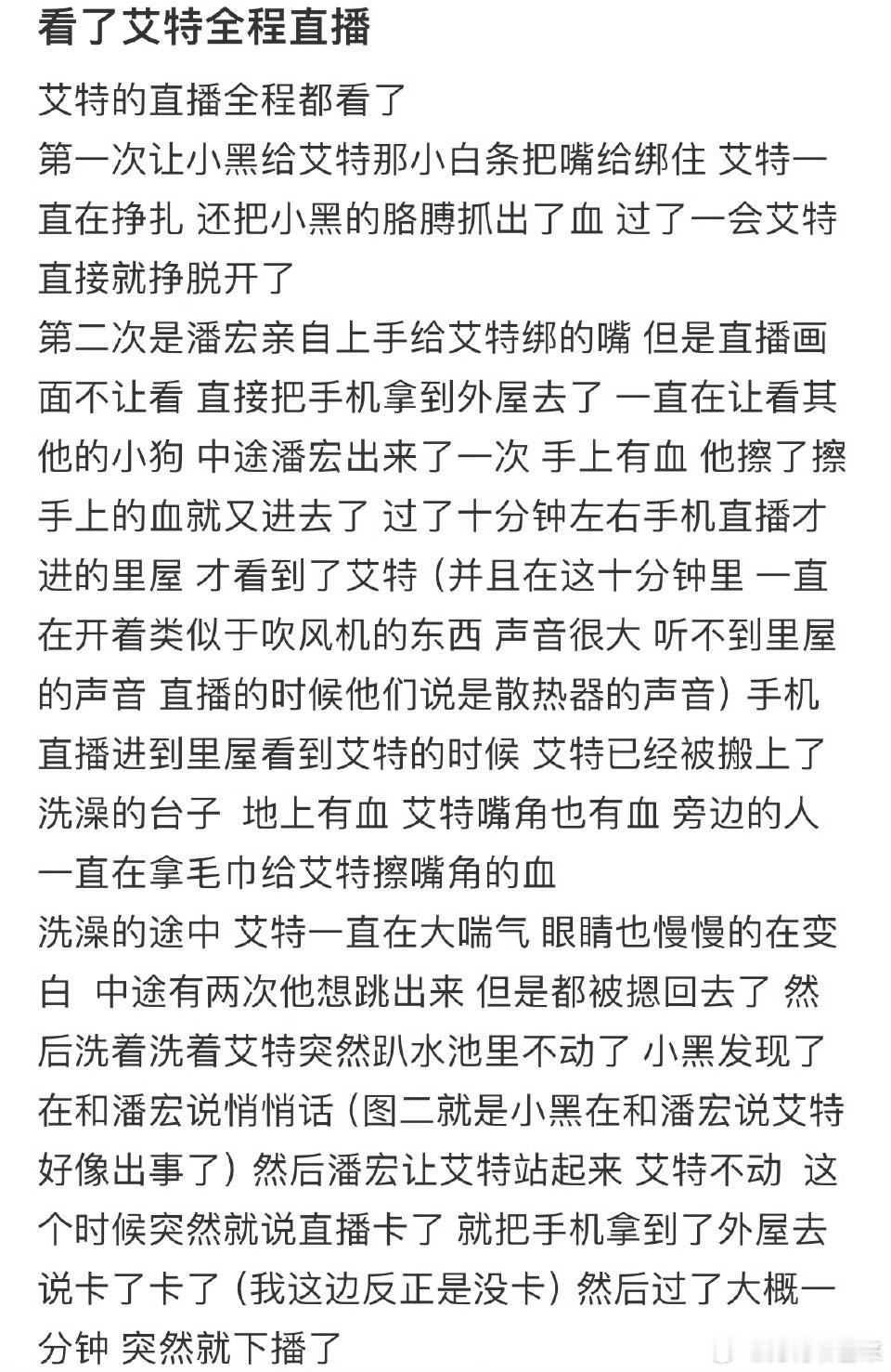 艾特主人称会有后续  在一些爱狗人的眼里，只要狗死亡就需要人抵命。这样一条网红狗