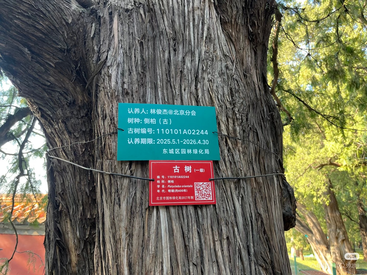 地坛公园不再允许用明星姓名认领树也有很多是用他们的作品，如歌名、歌词的，另外不知