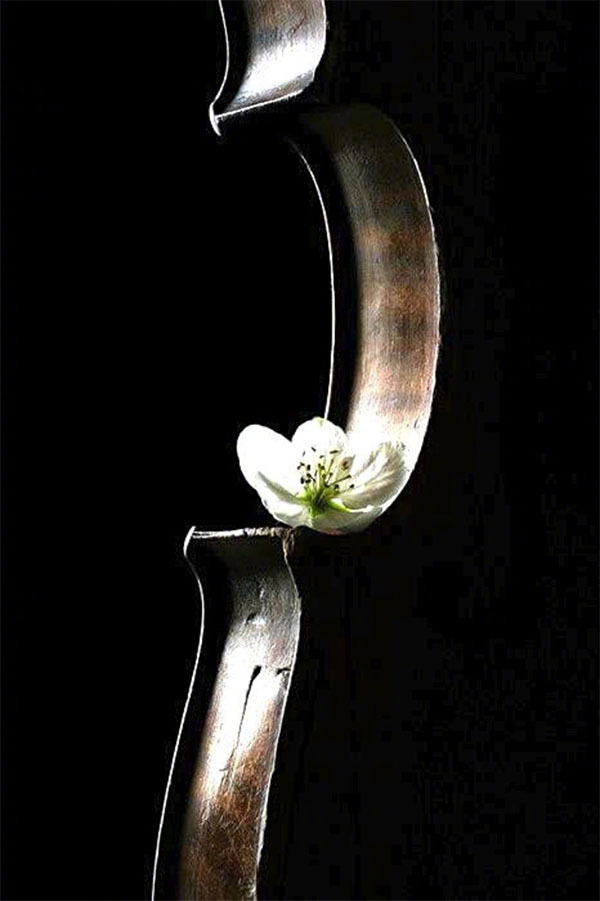 事实上，每个人自己身上都有很多连自己也看不懂、弄不清的言行。所以，人生才会有“人