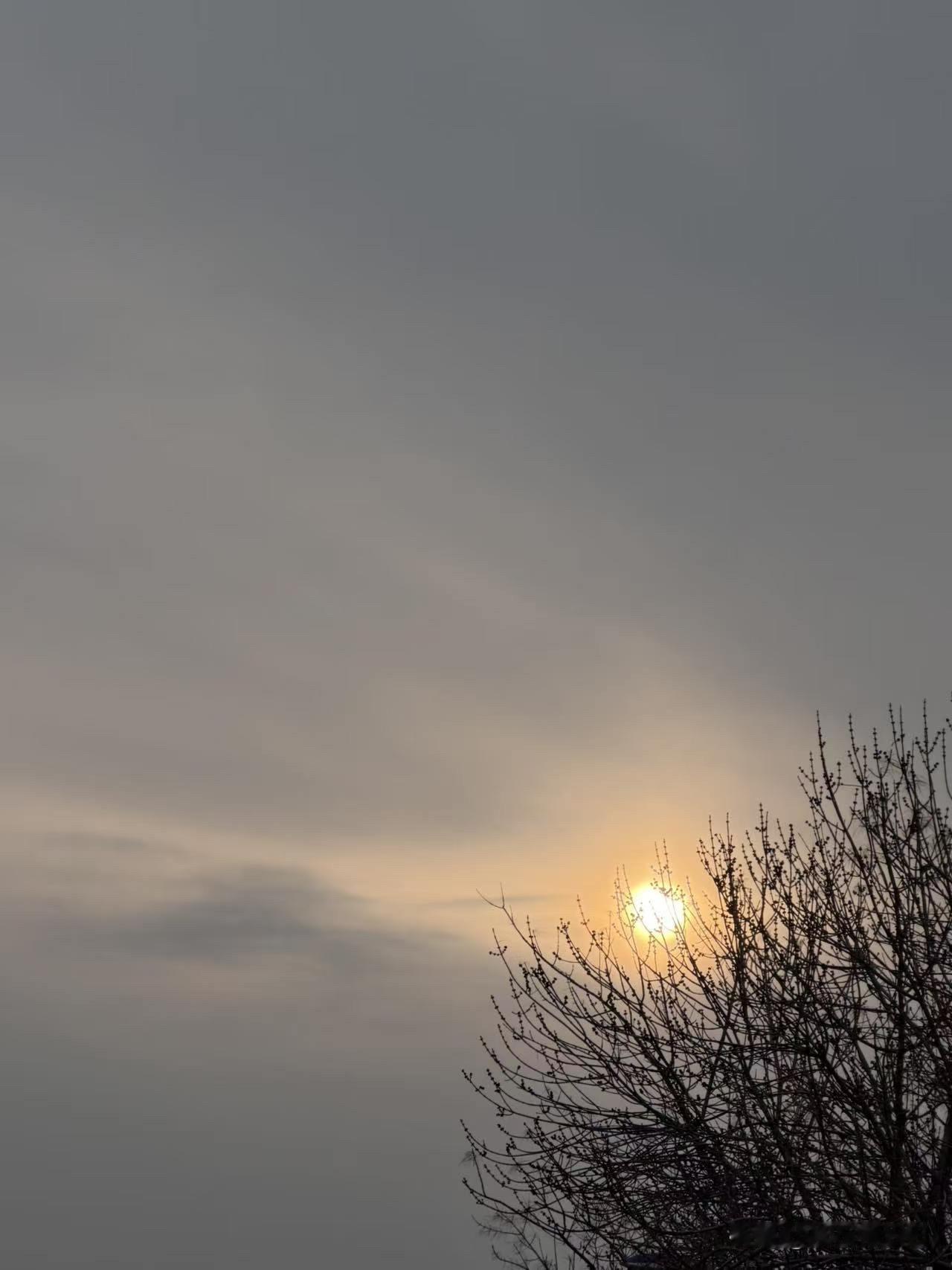 鹧鸪天·问春

何故东风镇日吹，催开催落念成灰。
一杯春酒和花雨，万种清愁到柳眉
