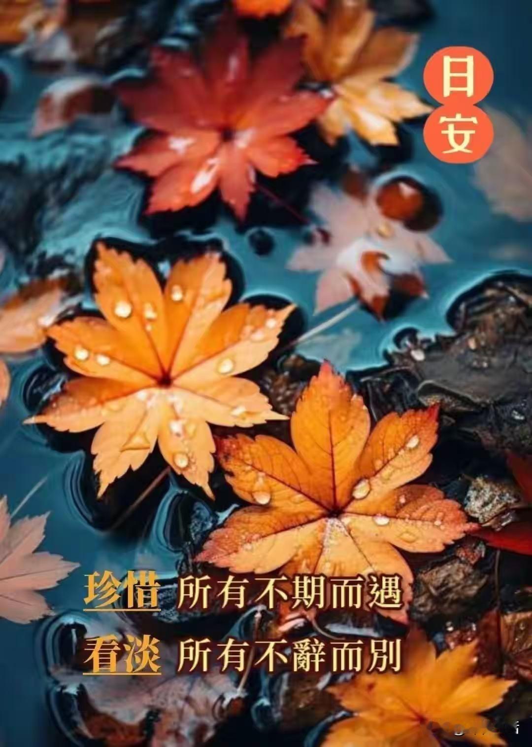 诗文将秦岭的山水风光、地理风貌展现得淋漓尽致，字里行间尽显其独特魅力，实在是一篇