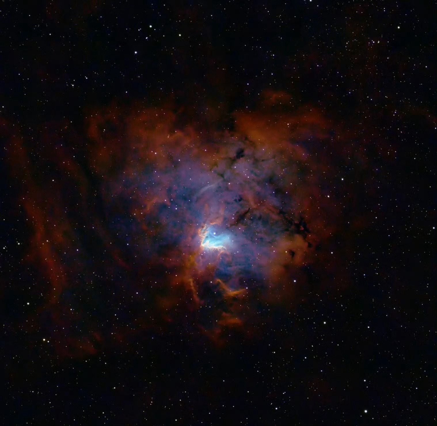 #每天一天文图# 化石足迹星云 - NGC1491 ​​​